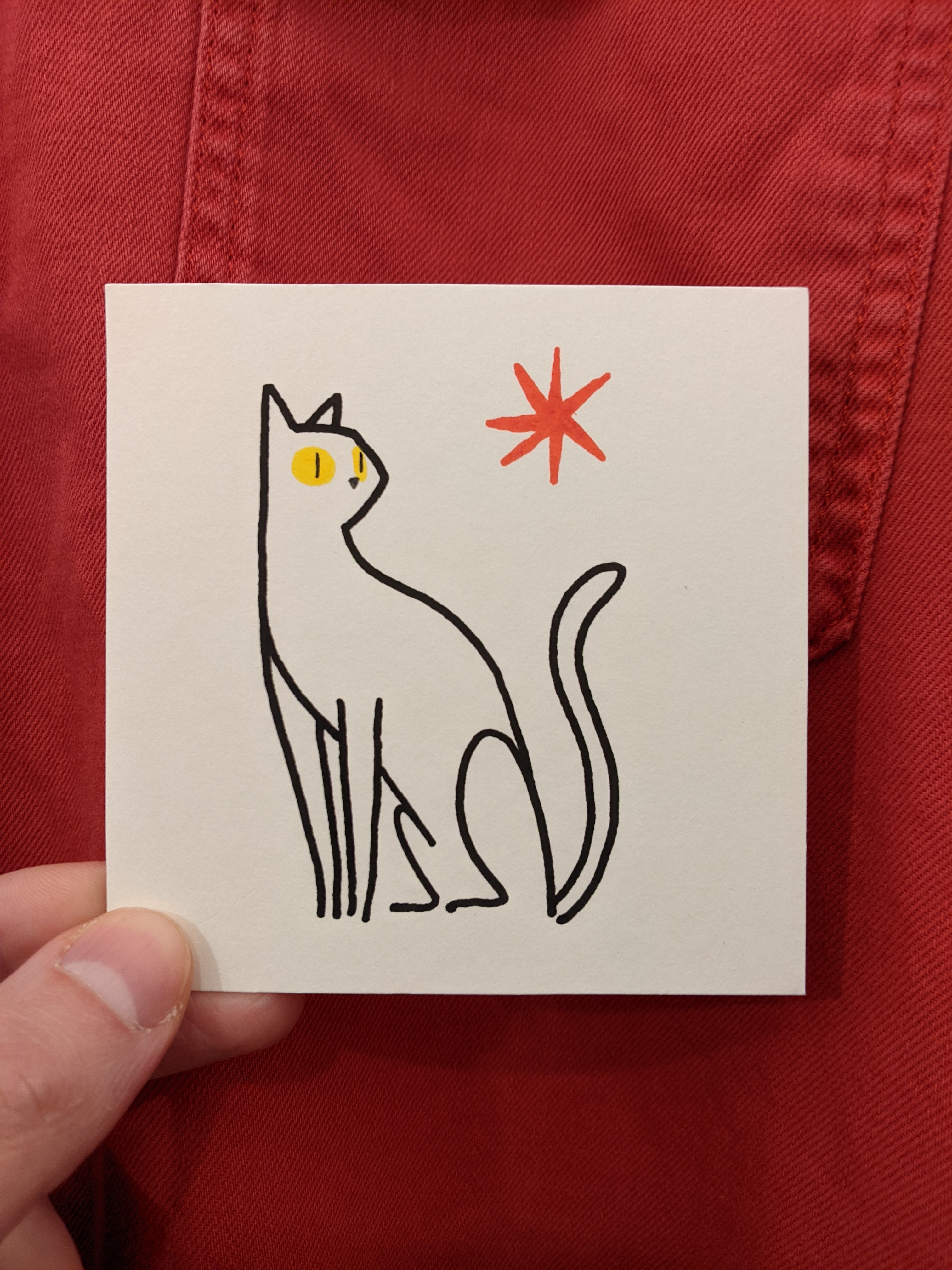 cat-sun-1.jpg