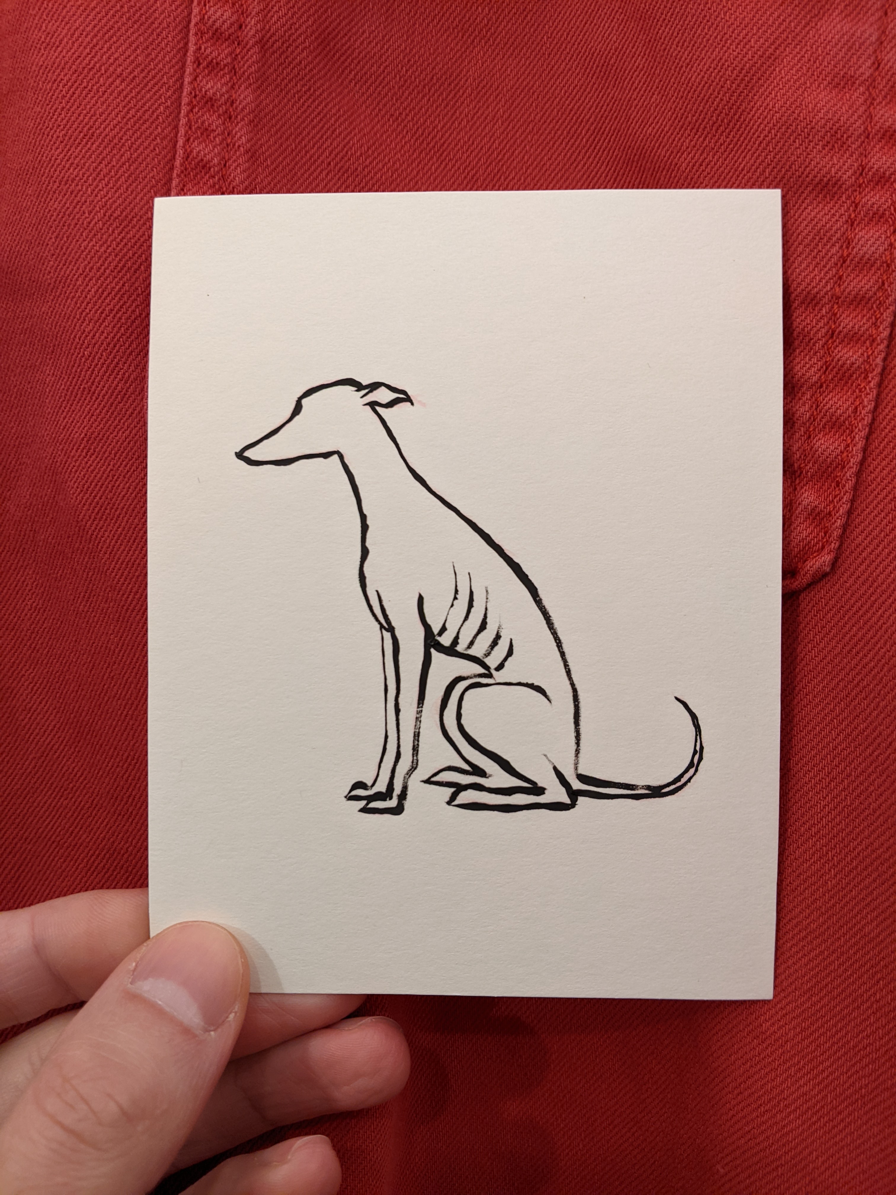 greyhound-sitting-2.jpg