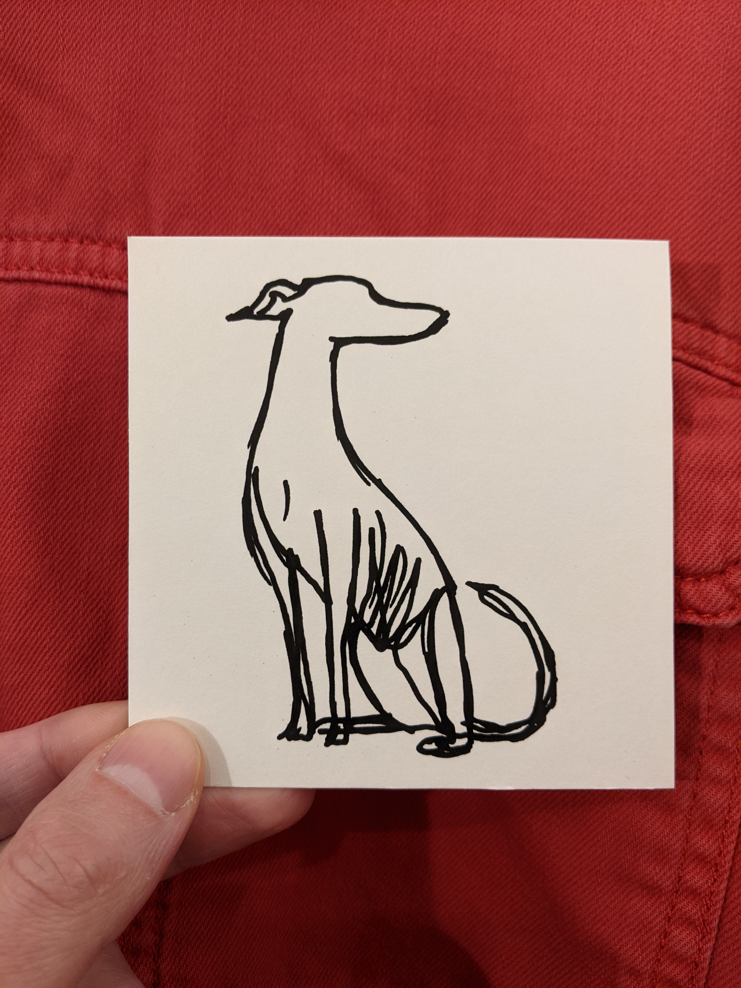 greyhound-sitting.jpg