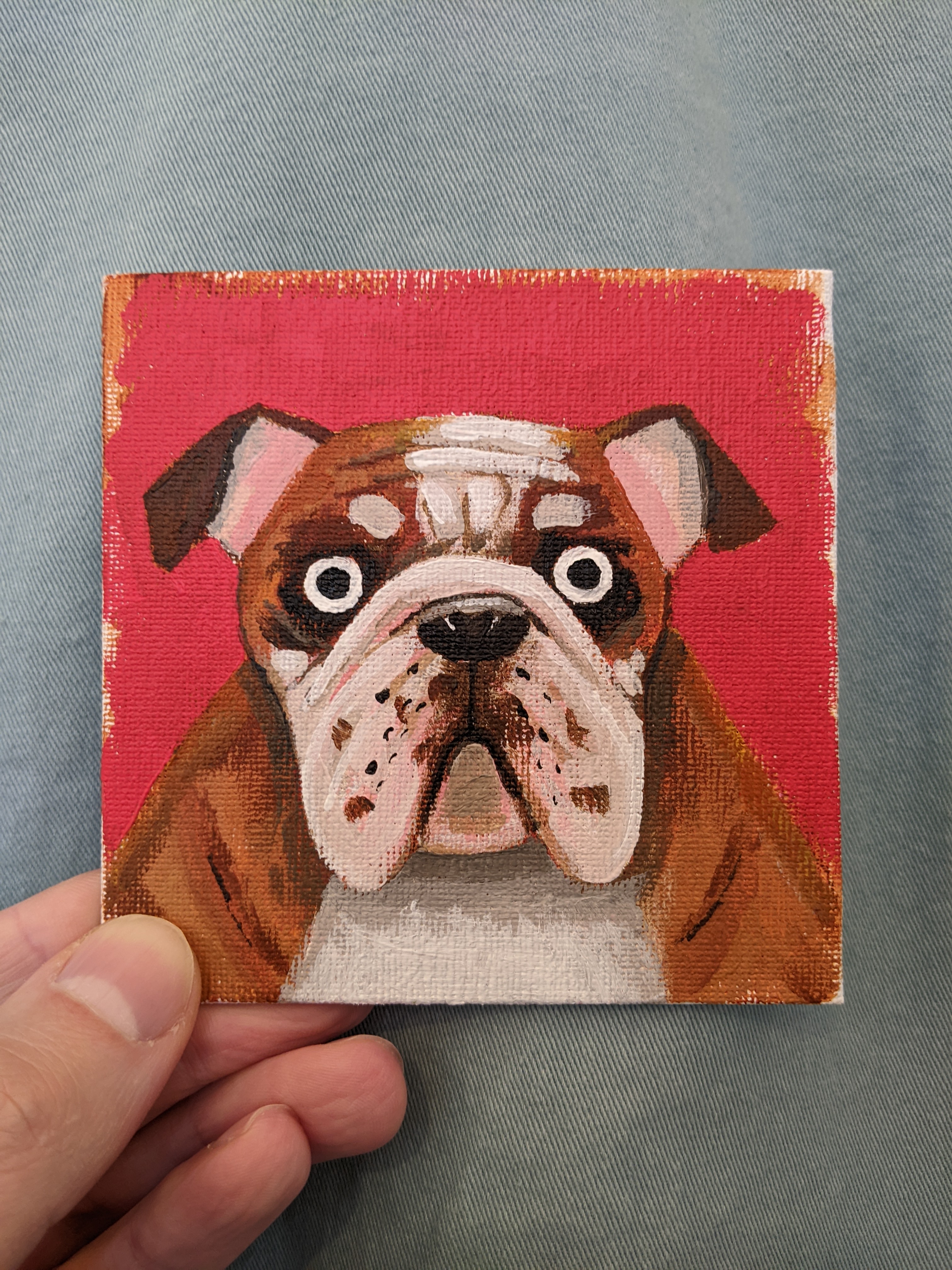 bulldog-1.jpg