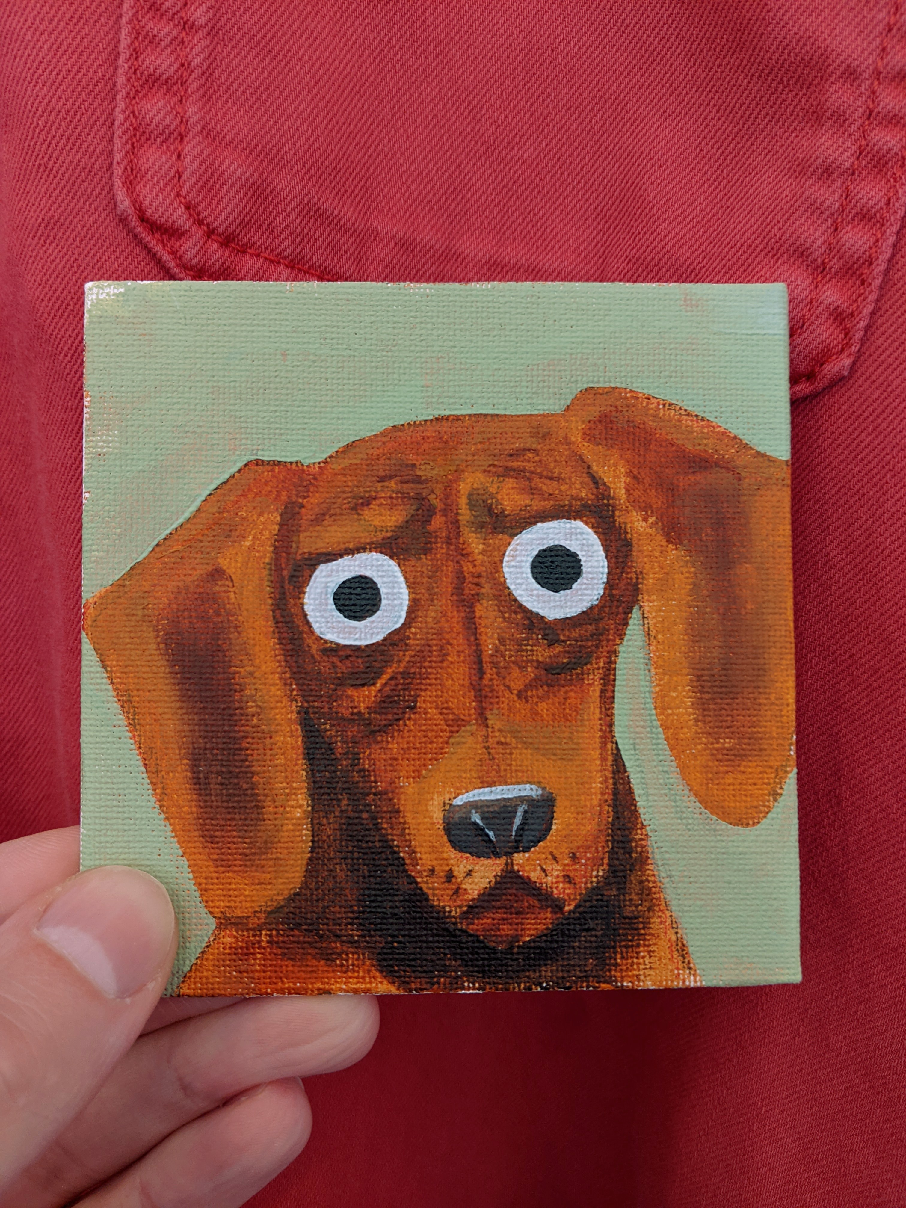 dachshund-1.jpg