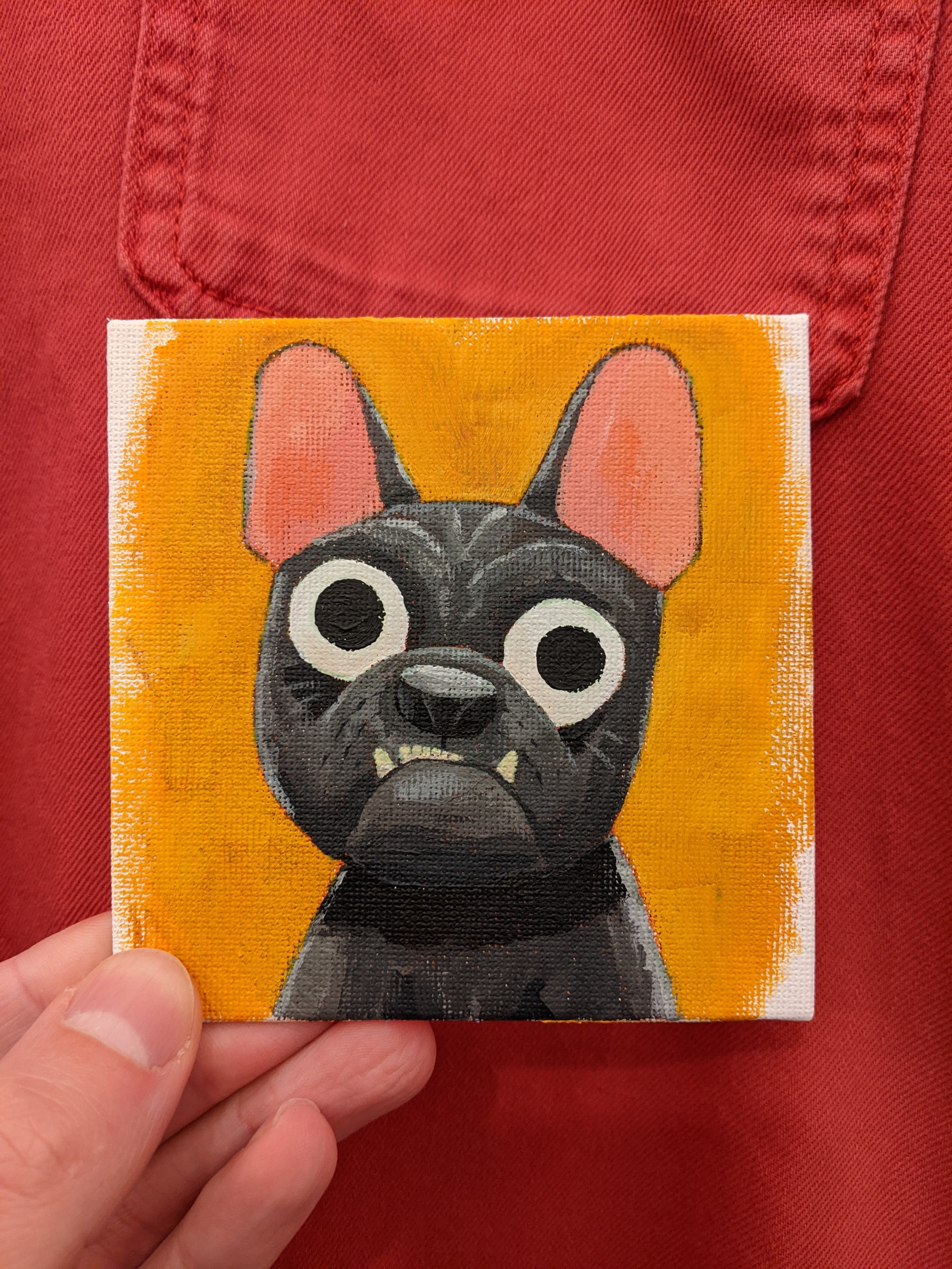 french-bulldog-2.jpg