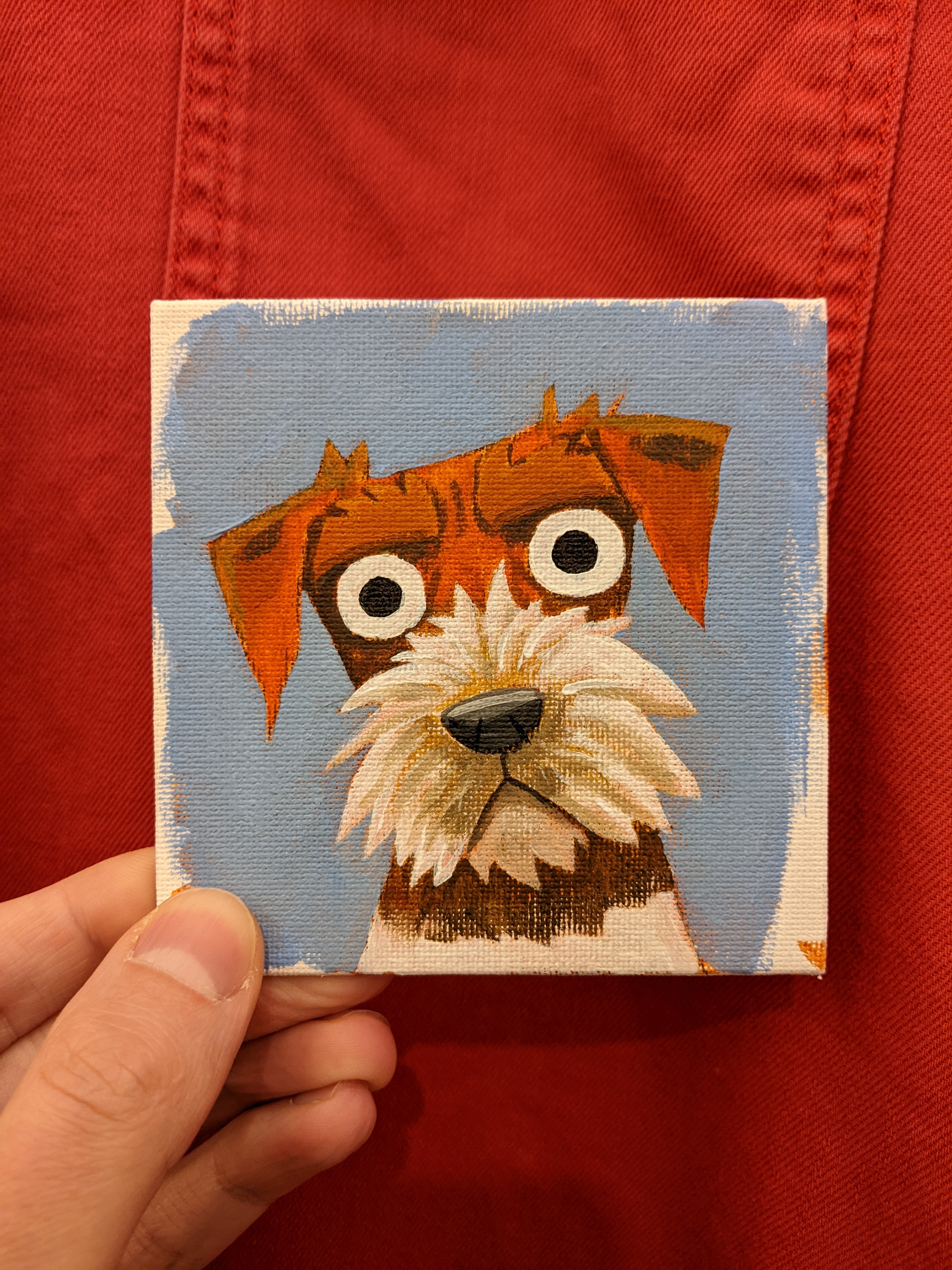jack-russel-1.jpg