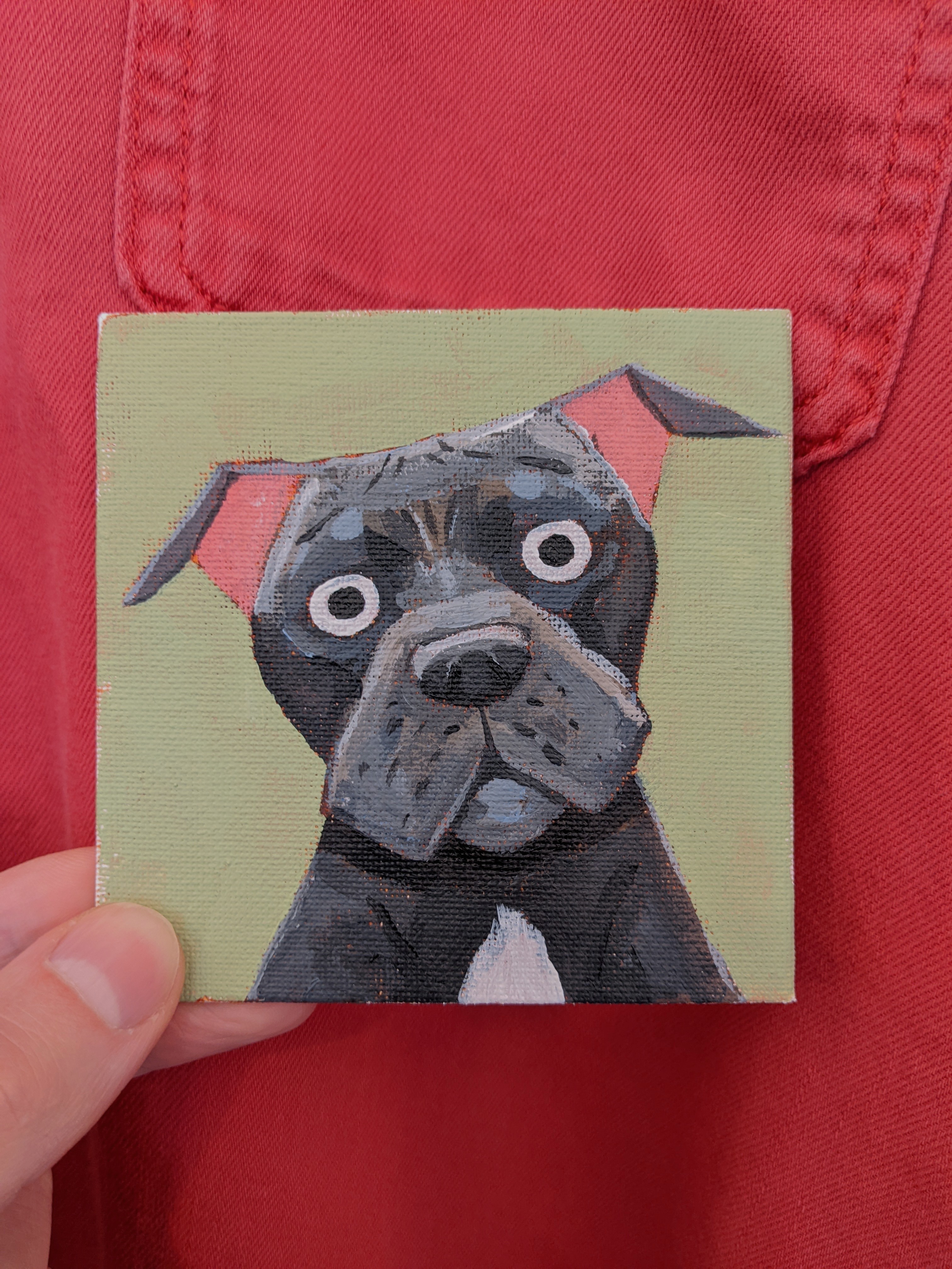staffie-1.jpg
